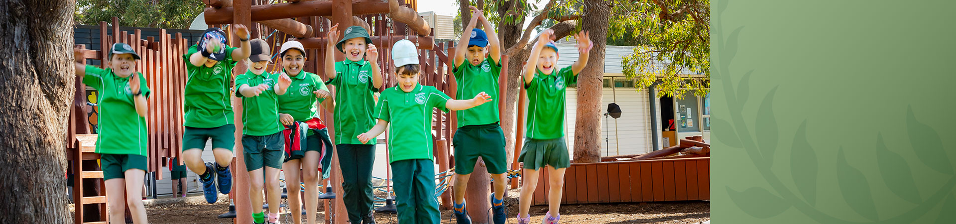 Davallia Primary School
